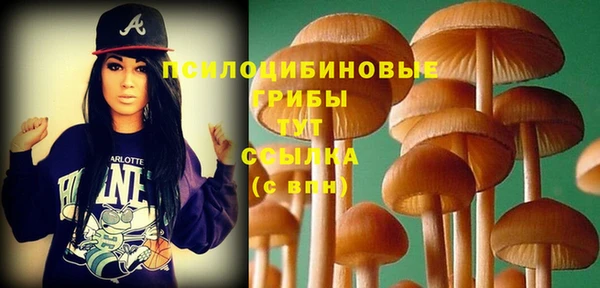 mix Арсеньев