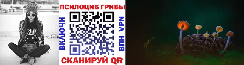 Псилоцибиновые грибы GOLDEN TEACHER Первомайск